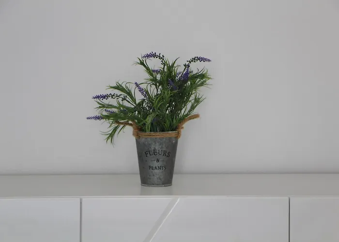 Daire Bright 3f By Adriatic Living *